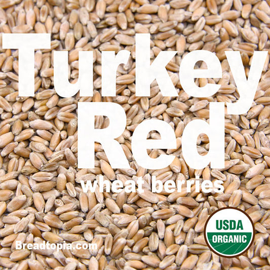 organic-heirloom-turkey-red-wheat-berries-firewalker-ovens-usda-organic
