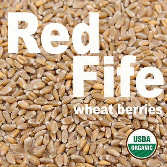 organic-heirloom-red-fife-wheat-berries-firewalker-ovens-usda-organic