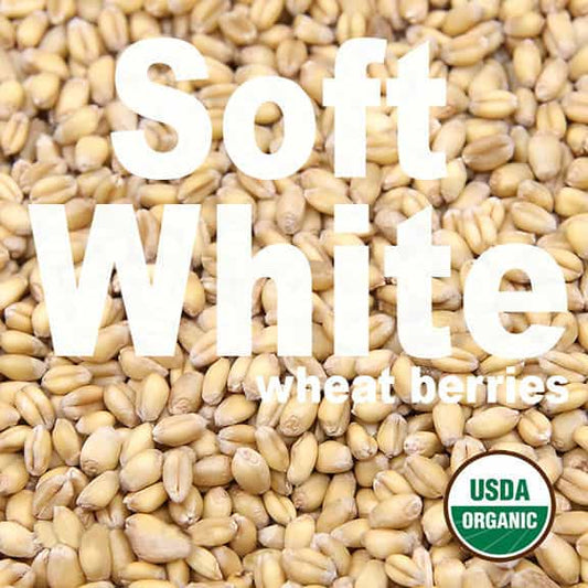 organic-soft-white-winter-wheat-berries-firewalker-ovens-usda-approved