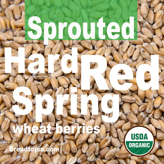 organic-sprouted-hard-red-spring-wheat-berries-firewalker-oven
