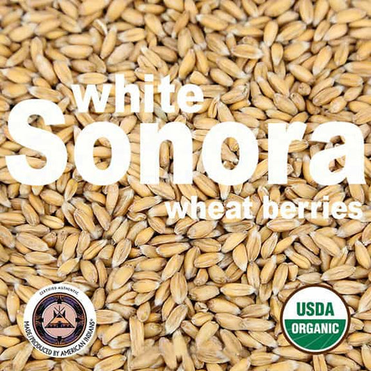 organic-white-sonora-wheat-berries-firewalker-ovens-usda-approved